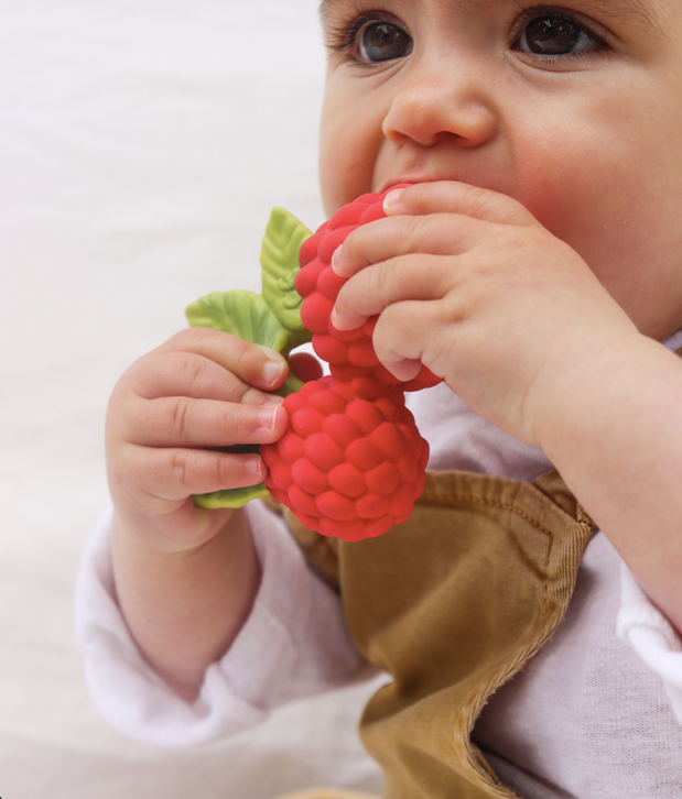 Valery the Raspberry Teether