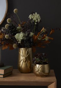 Gold Spider Collection