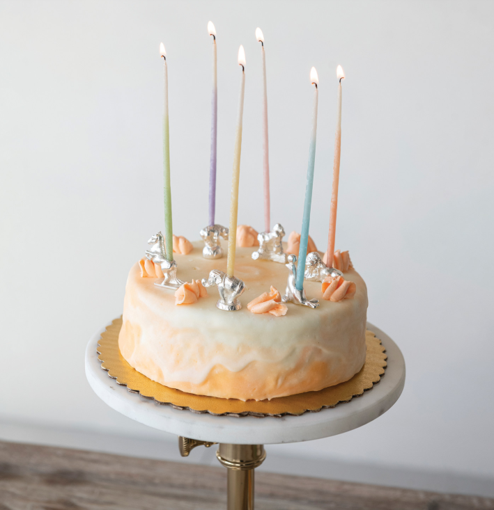 Circus Animal Birthday Cake Candle Holders