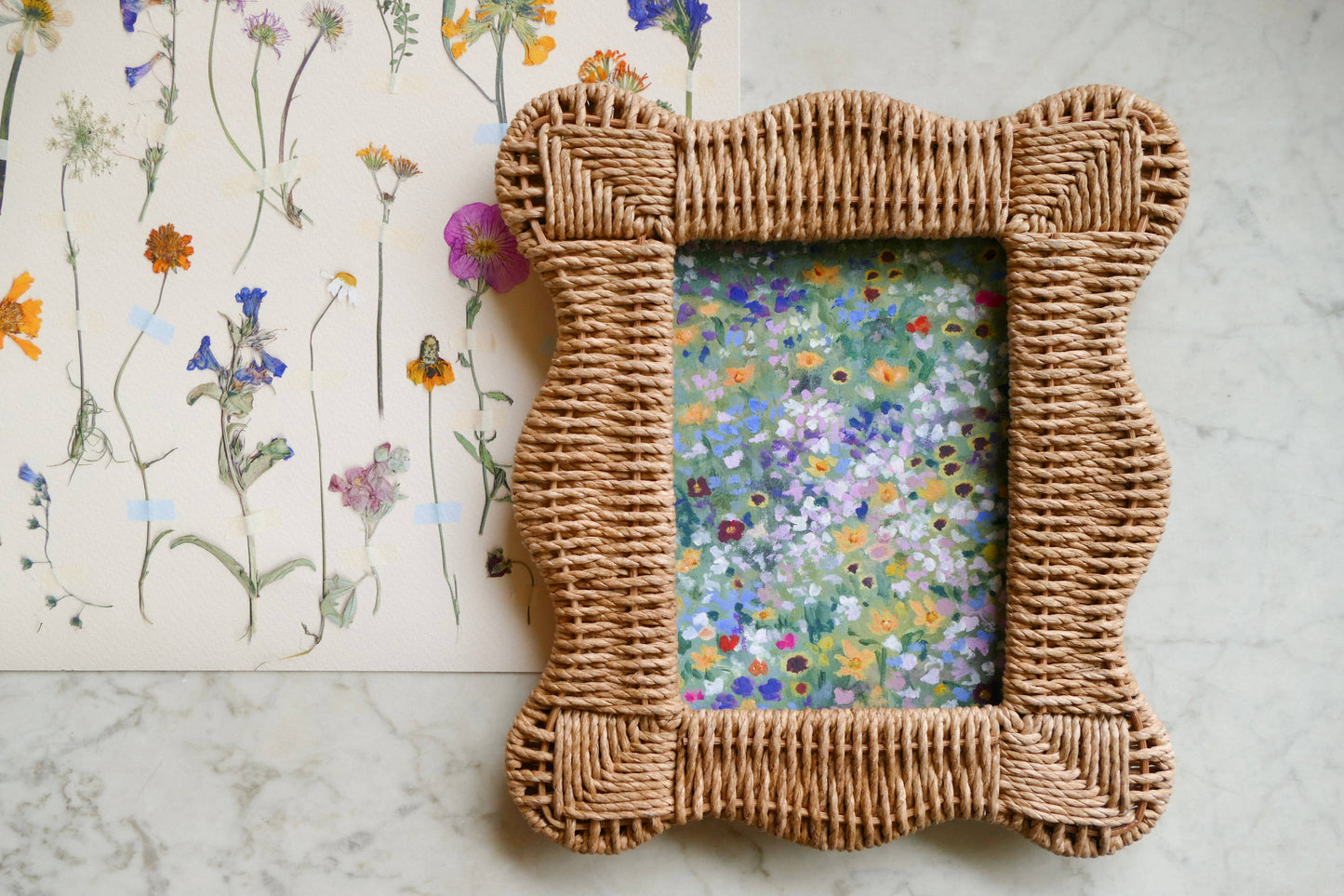 Wildflower Constellations XVII
