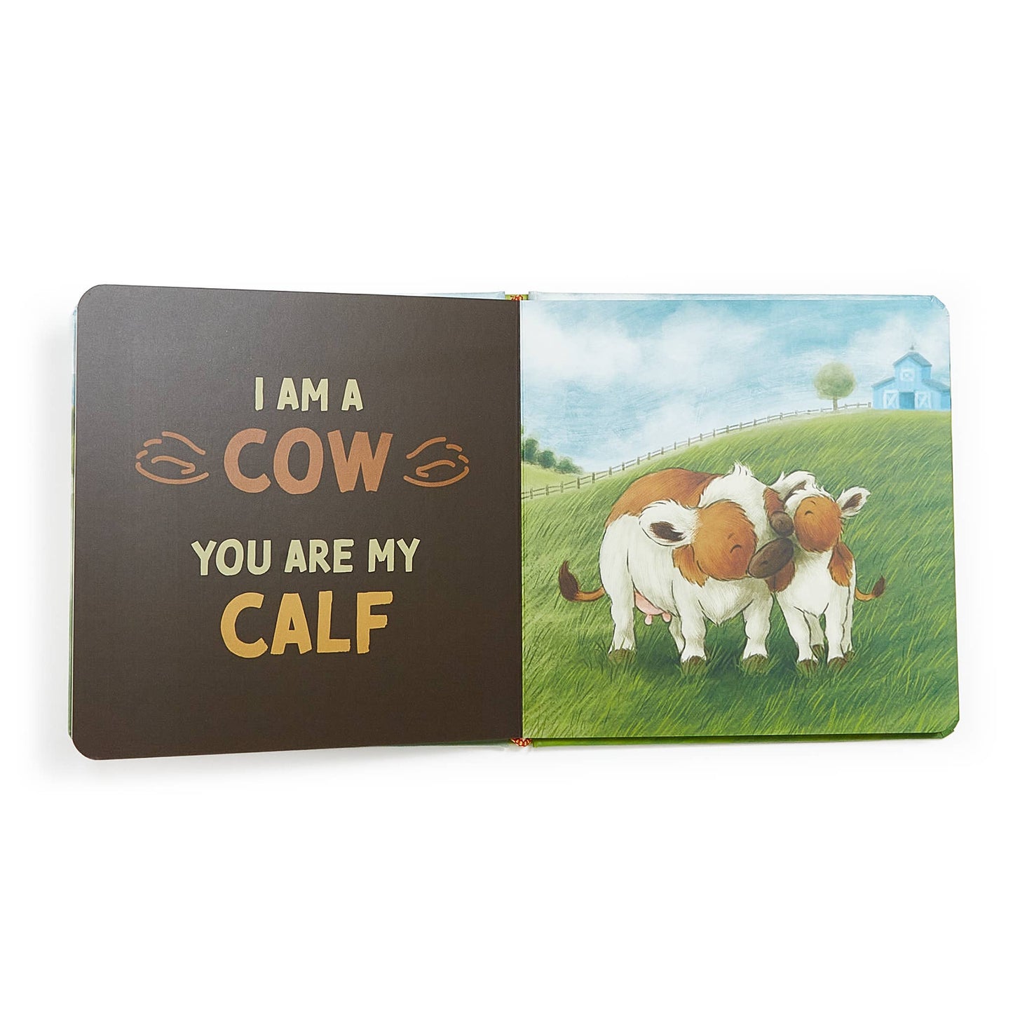 "You Are My Baby" Board Book