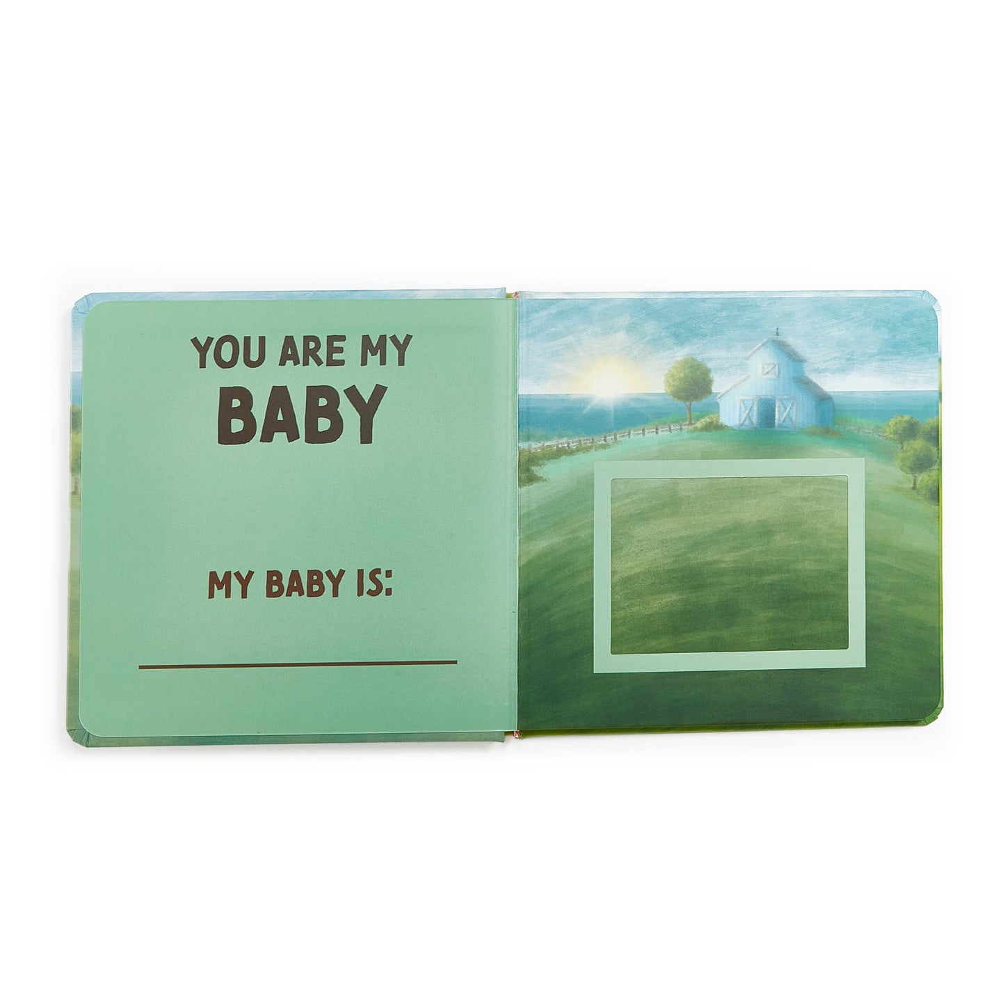 "You Are My Baby" Board Book