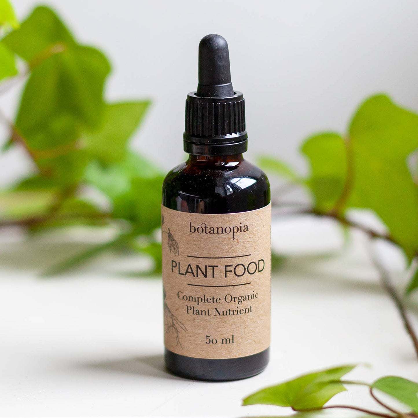 Plant Food