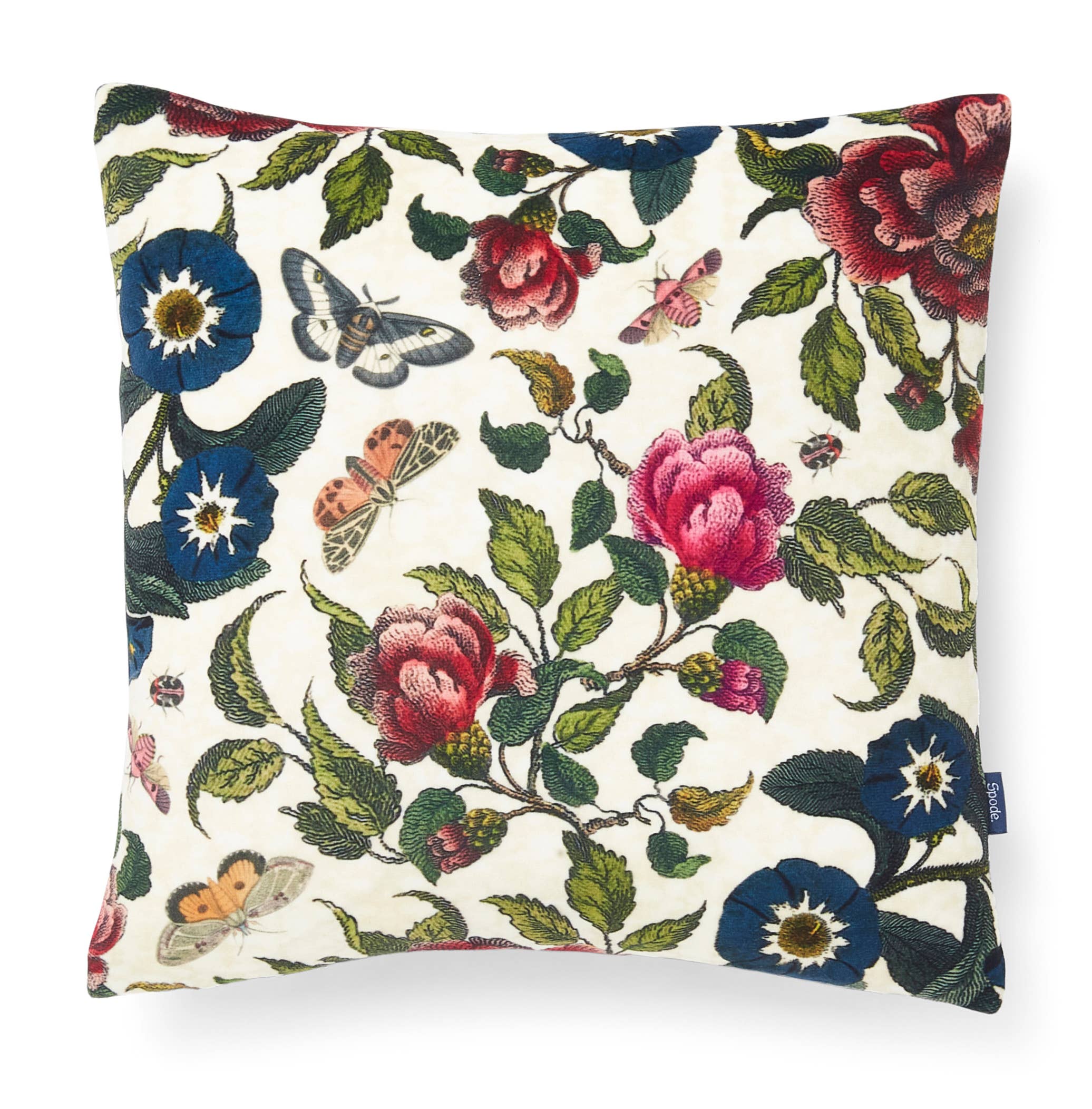 Spode Creatures of Curiosity Cushion
