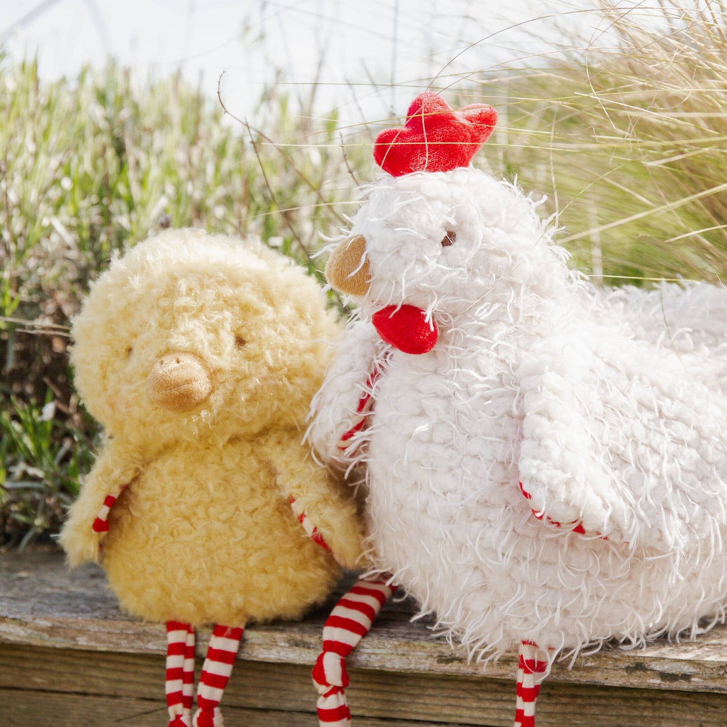 Wee Clucky Little Chicken