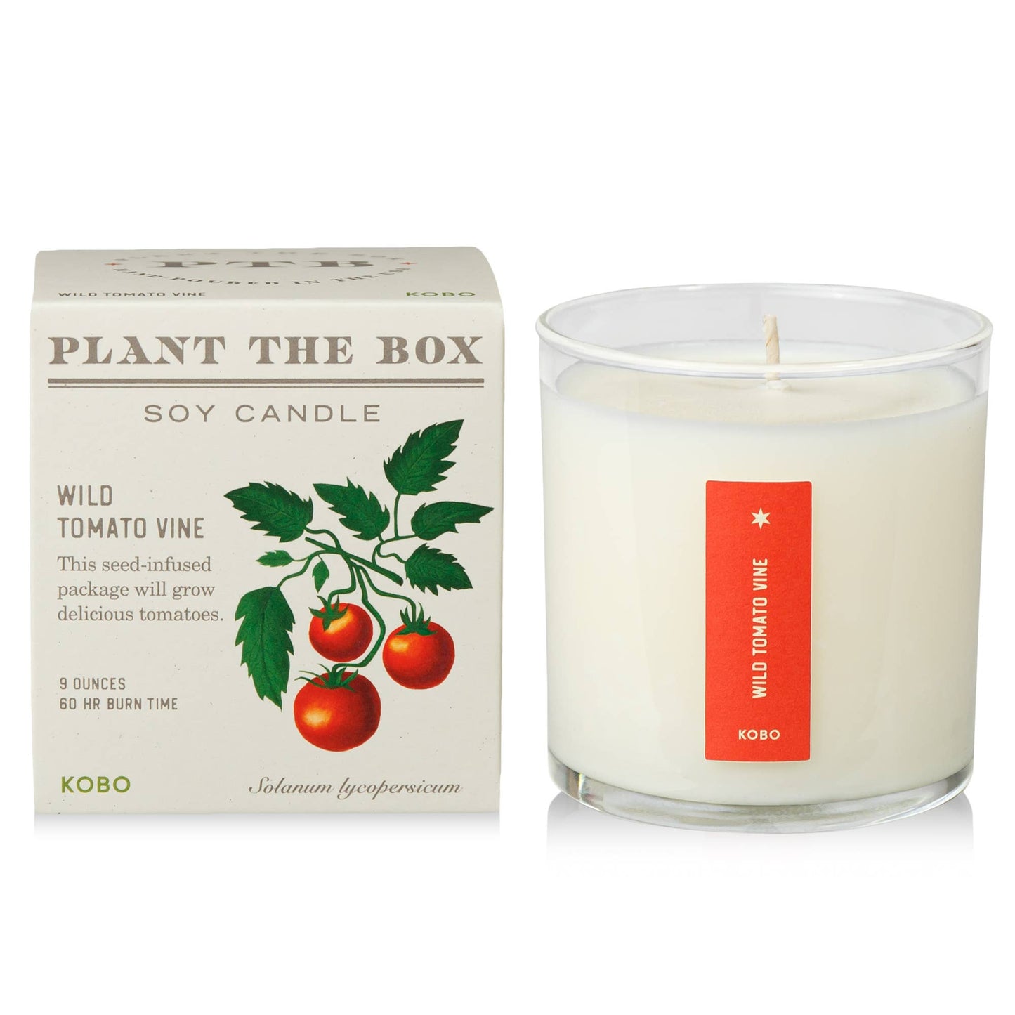 Wild Tomato Vine - Plant the Box Candle