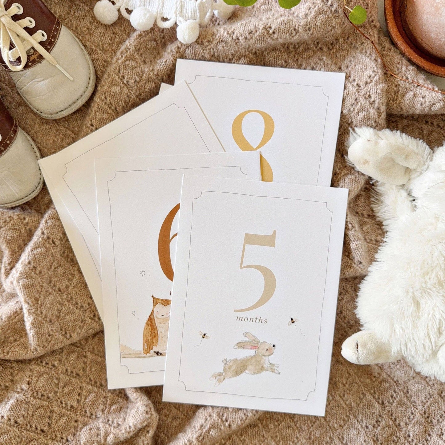 Baby milestone cards