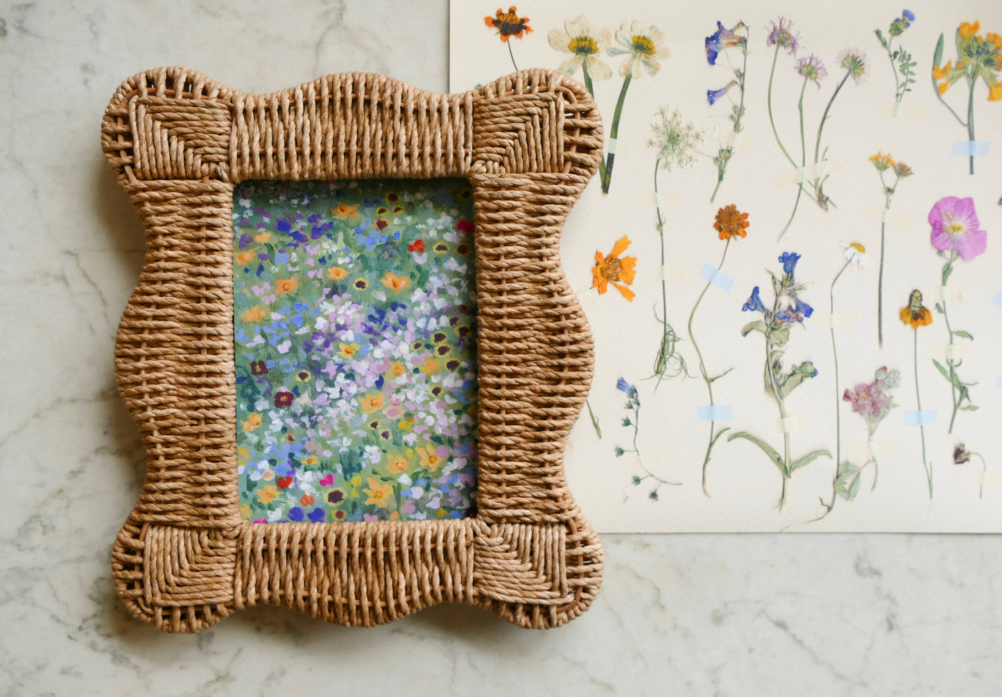 Wildflower Constellations XVII